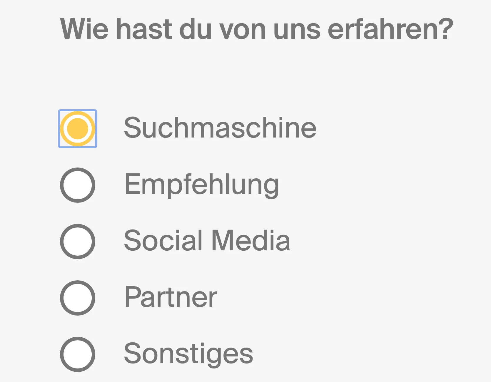 Gleiche Radio-Button-Liste. Social Media ist ausgewählt und zusätzlich mit einem deutlich sichtbaren orange Fokus-Ring umrandet, der die Position des Tastatur-Fokus anzeigt.